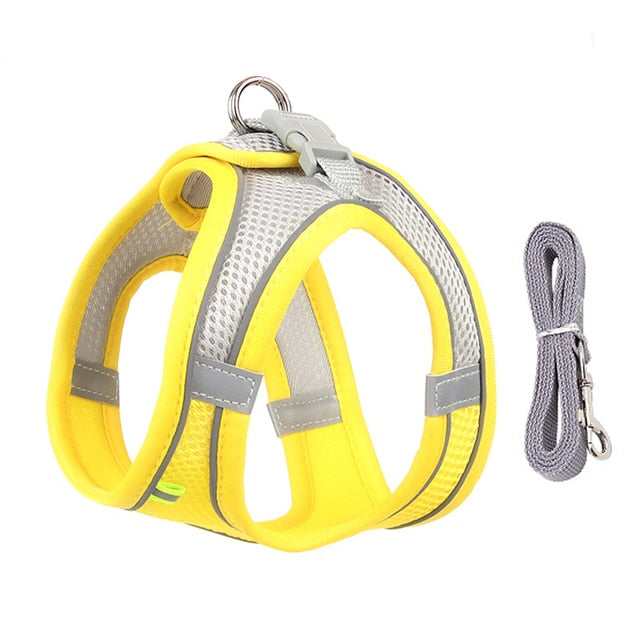 Dog Harness Leash Set for Small Dogs - Luxuries