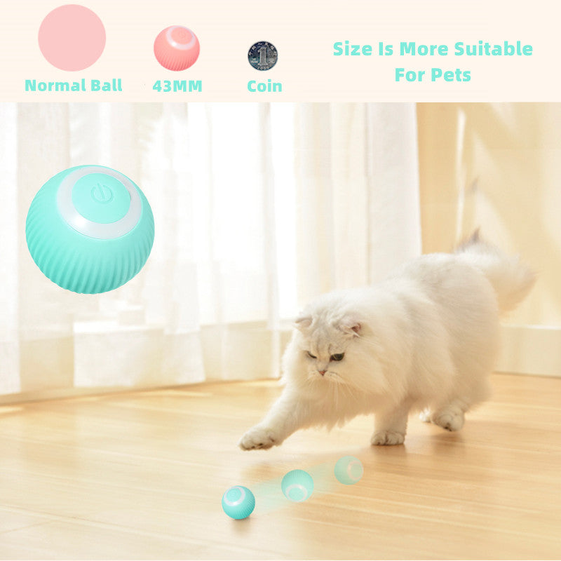 Smart Cat Ball Toys - Luxuries