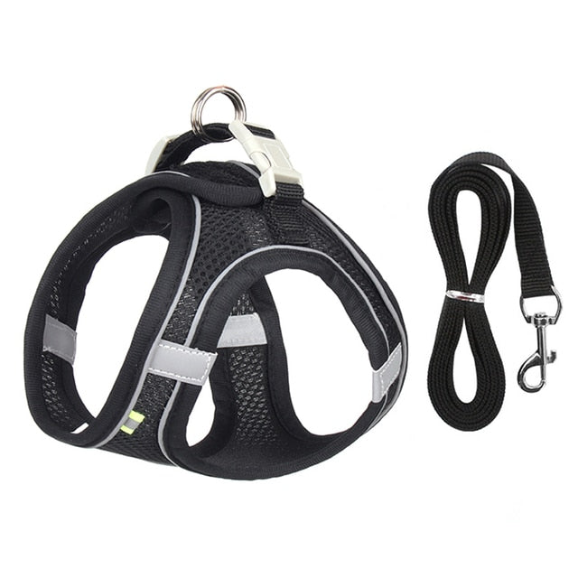 Dog Harness Leash Set for Small Dogs - Luxuries