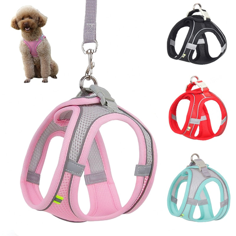 Dog Harness Leash Set for Small Dogs - Luxuries