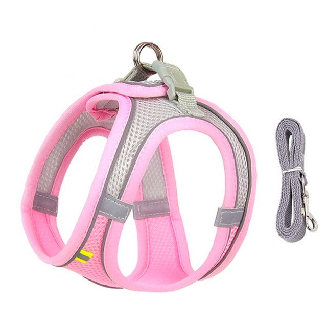 Dog Harness Leash Set for Small Dogs - Luxuries