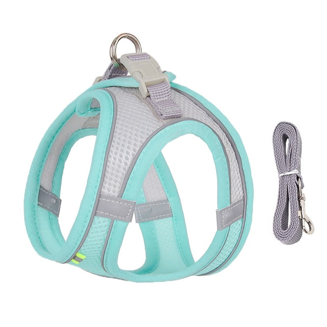 Dog Harness Leash Set for Small Dogs - Luxuries