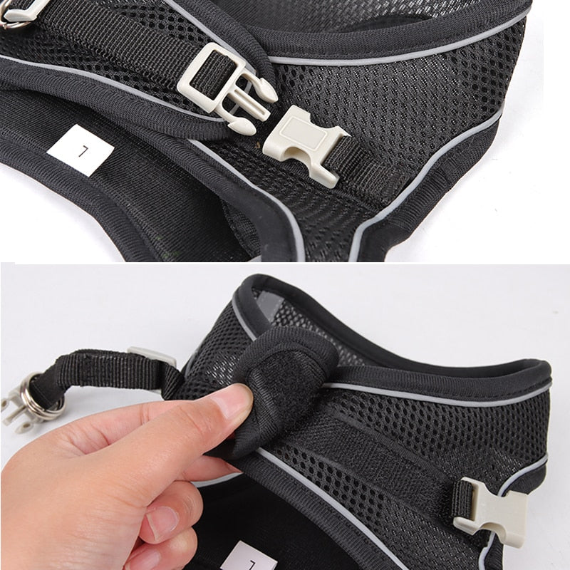 Dog Harness Leash Set for Small Dogs - Luxuries