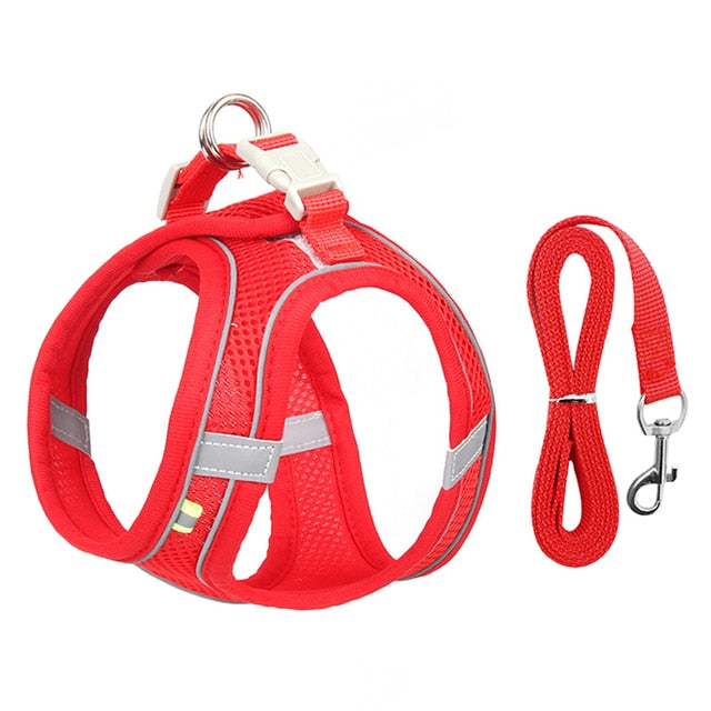 Dog Harness Leash Set for Small Dogs - Luxuries